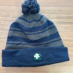 Navy and Gray Striped Beanie